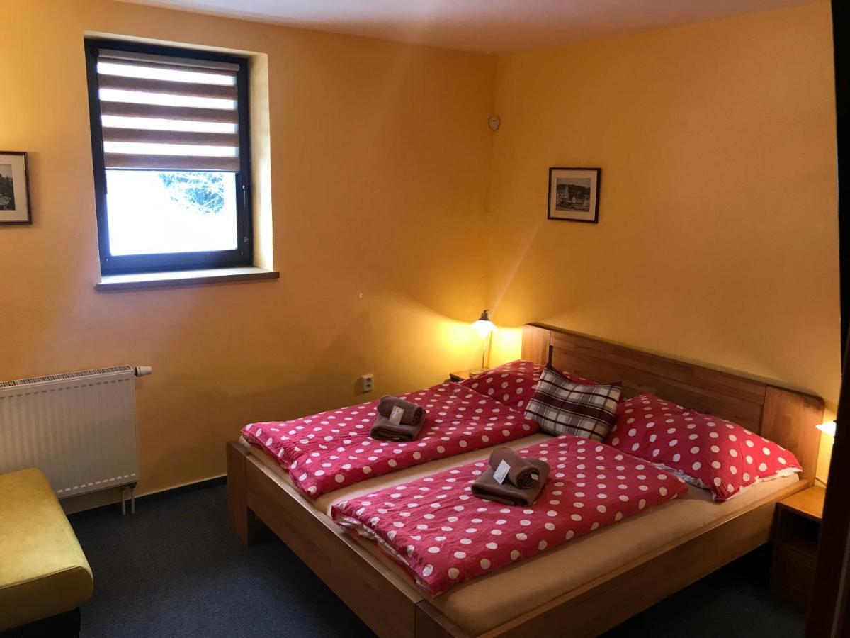 Pension Aura Spicak, Nektere Pokoje Se Saunou Zelezna Ruda Exterior photo